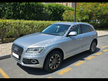Audi  Q5  40 TFSI Quattro  2016  Tiptronic  78,000 Km  4 Cylinder  All Wheel Drive (AWD)  SUV  Silver