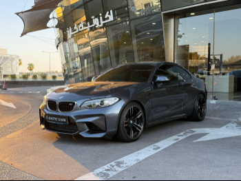 BMW  M-Series  2  2017  Automatic  121,000 Km  6 Cylinder  Rear Wheel Drive (RWD)  Coupe / Sport  Gray