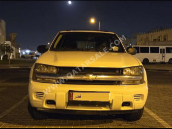 Chevrolet  Blazer  2009  Automatic  267,000 Km  6 Cylinder  SUV  White