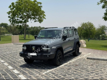 Great Wall Motors  Tank 300  SUV 4x4  Grey  2025
