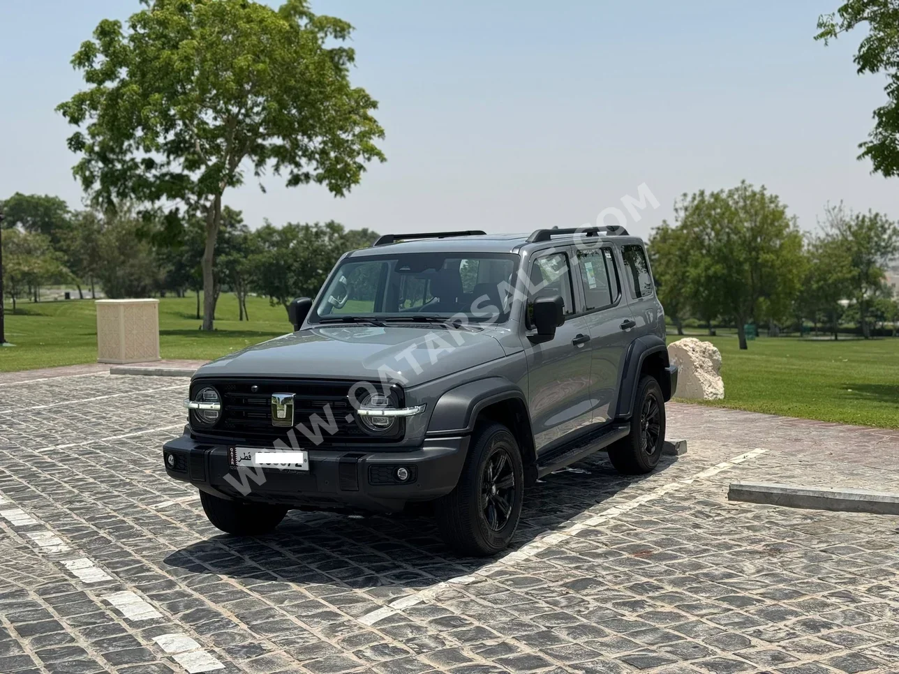Great Wall Motors  Tank 300  SUV 4x4  Grey  2025