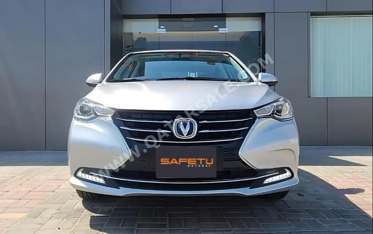 Changan  Alsvin  2024  Automatic  39,000 Km  4 Cylinder  Front Wheel Drive (FWD)  Sedan  Silver  With Warranty