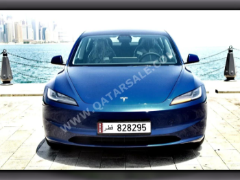 Tesla  Model 3  4 Cylinder  Sedan  Blue  2024