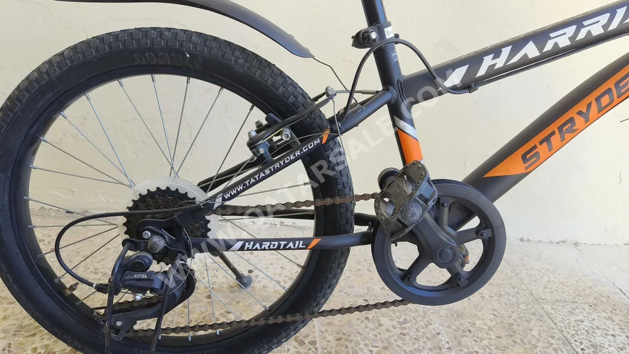 City Bicycle  - All-City Cycles  - Large (19-20 inch)  - Black