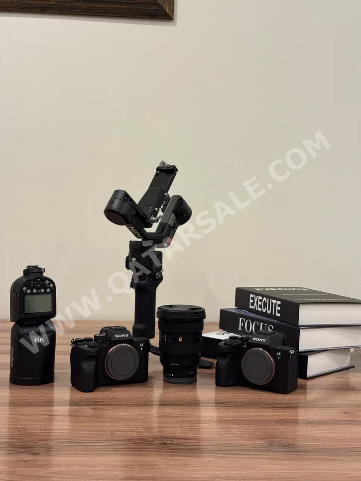Digital Cameras Sony
