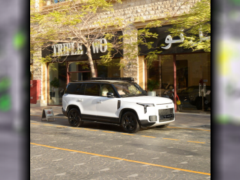 Rox Motor  Jishi  01  2025  Automatic  0 Km  4 Cylinder  Four Wheel Drive (4WD)  SUV  White  With Warranty