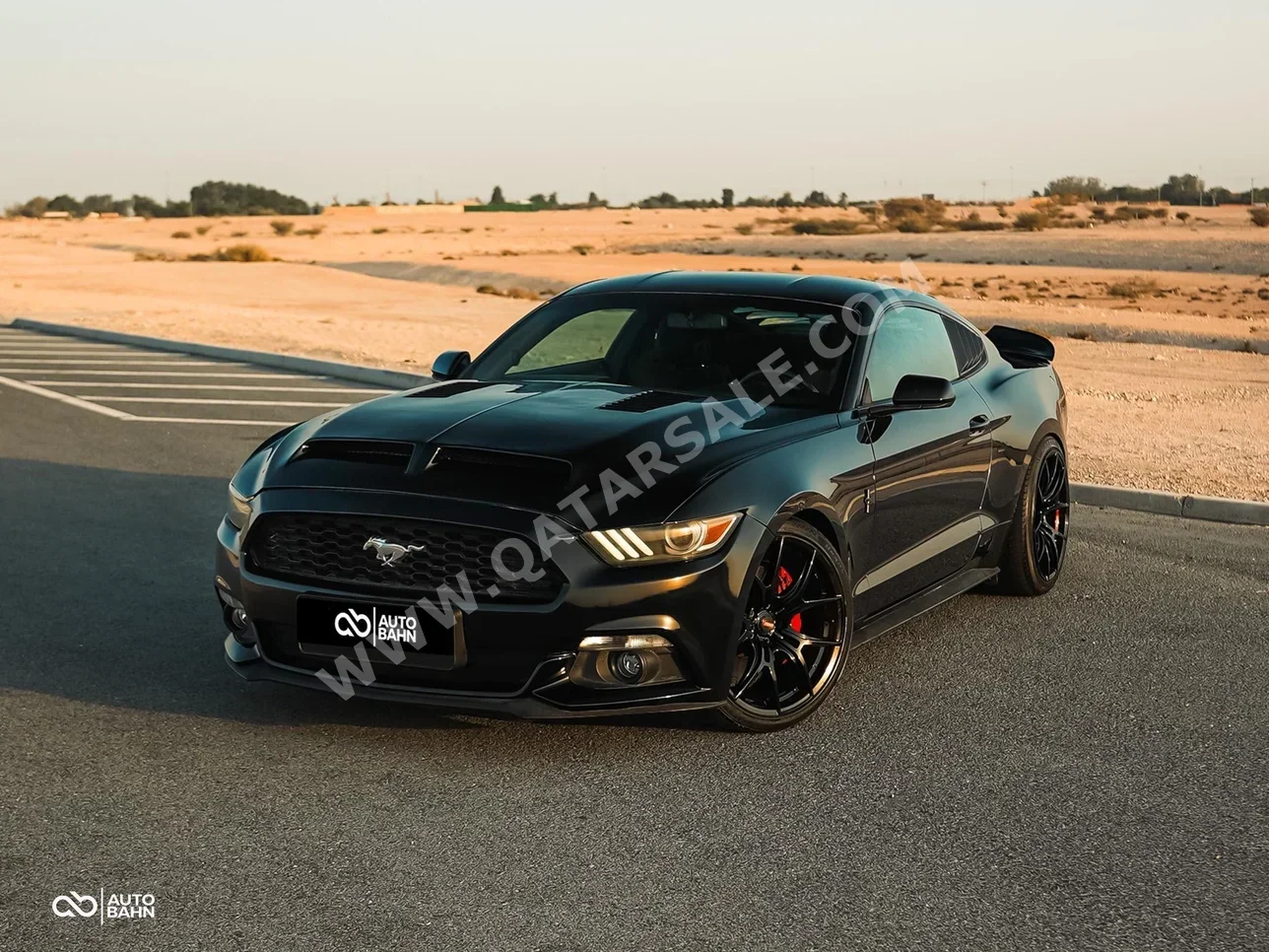 Ford  Mustang  Ecoboost  2015  Automatic  172,000 Km  4 Cylinder  Rear Wheel Drive (RWD)  Coupe / Sport  Black