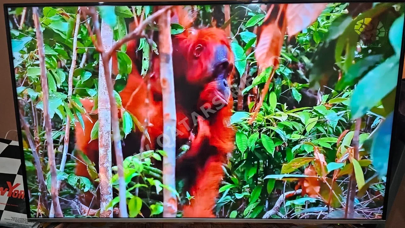 Television (TV) Toshiba  - 55 Inch  - 4K or UHD