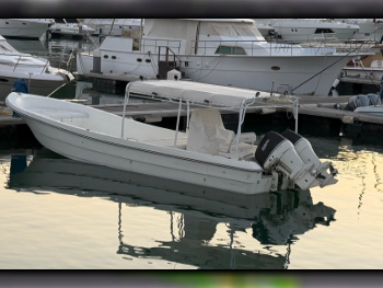 Fishing & Sail Boats - AL Dhaen  - Qatar  - 2012  - White