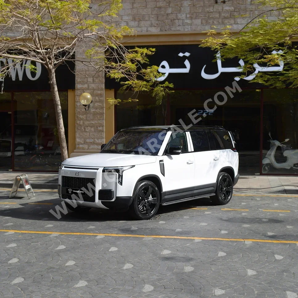 روكس موتور  جيشي  01  2025  اوتوماتيك  0 كم  4 سلندر  دفع رباعي  اس يو في  أبيض  تحت الضمان
