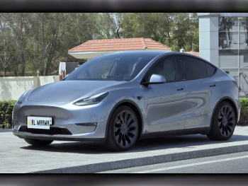 Tesla  Model Y  Performance  2024  Automatic  40,000 Km  0 Cylinder  All Wheel Drive (AWD)  SUV  Silver  With Warranty