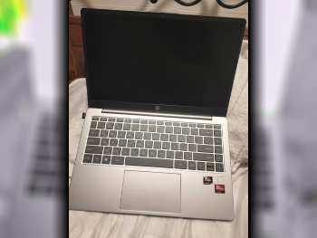 Laptops HP  - ENVY  2024  - Silver  - Windows 11  - AMD  - Ryzen  -Memory (Ram): 16 GB