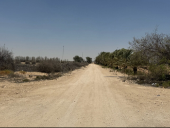 مزارع و منتجعات غير مفروشة  الخور  6 غرف نوم