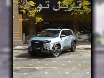 BYD  Leoperd 3  2025  Automatic  0 Km  4 Cylinder  Four Wheel Drive (4WD)  SUV  Silver  With Warranty