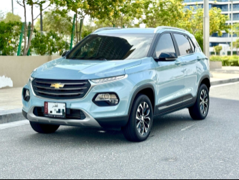 Chevrolet  Groove  Premier  2025  Automatic  3,500 Km  4 Cylinder  Front Wheel Drive (FWD)  SUV  Sky Blue  With Warranty