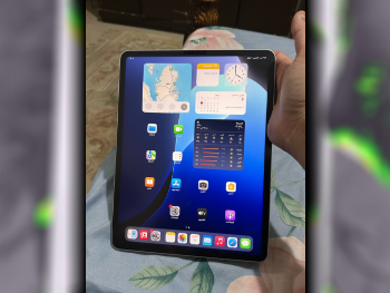 Apple  iPad Pro  (5th generation)  2024 -  256 GB - Connectivity Wi Fi Only