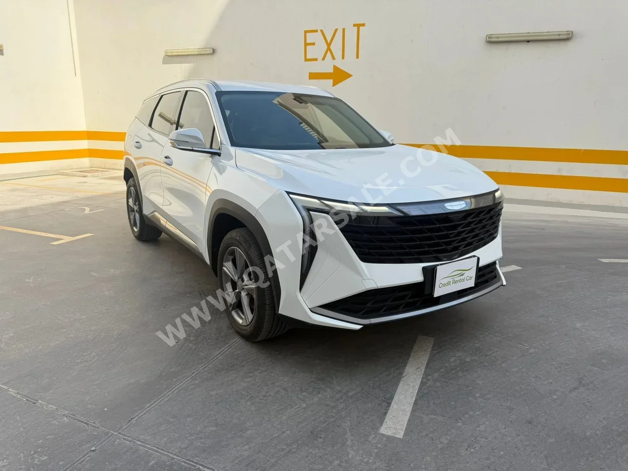 Geely  Starray 2.0 Deluxe  4 Cylinder  2x4  White  2025