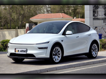 Tesla  Model Y  Performance  2025  Automatic  1,000 Km  0 Cylinder  All Wheel Drive (AWD)  Sedan  White  With Warranty