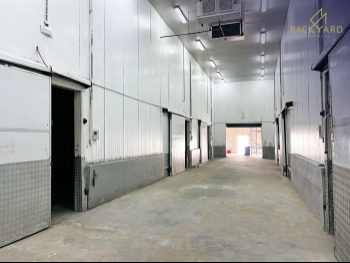 Warehouses & Stores - Al Wakrah  - Industrial Area  -Area Size: 2020 Square Meter