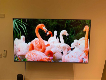 Television (TV) TCL  - 55 Inch  - 4K or UHD  - Smart TV