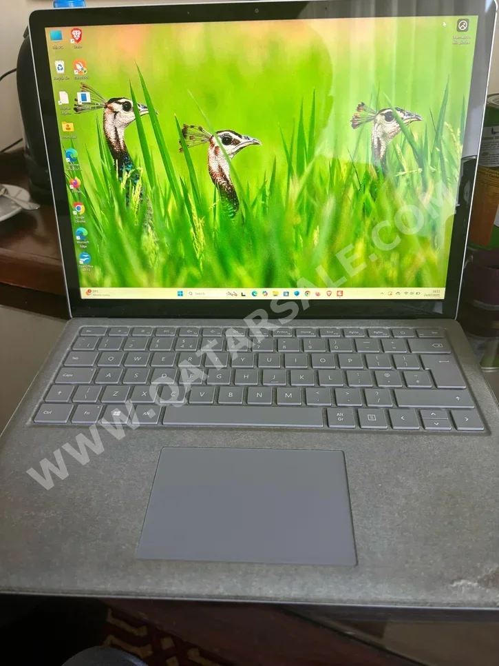 Laptops Microsoft  - Surface Pro 4  - Silver  - Windows 11  - Intel  - Core i5  -Memory (Ram): 8 GB