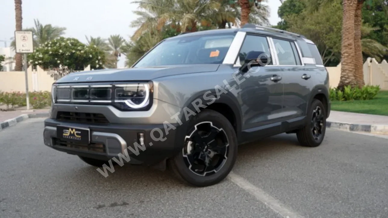 بايك  بي جي 30  2025  اوتوماتيك  300 كم  4 سلندر  دفع كلي مستمر  اس يو في  رمادي  تحت الضمان
