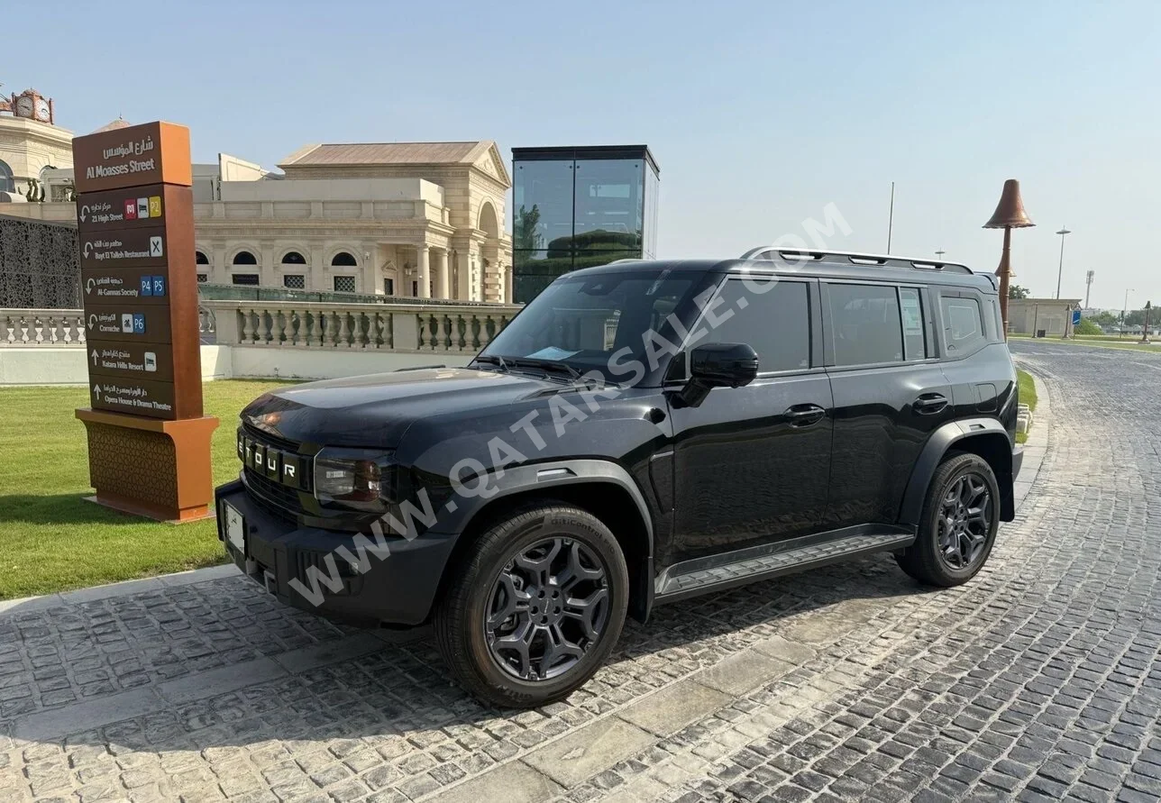 Jetour  T2  Luxury  2025  Automatic  30,000 Km  4 Cylinder  Four Wheel Drive (4WD)  SUV  Black  With Warranty
