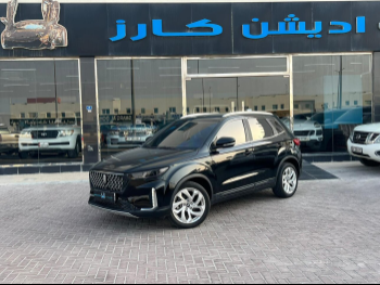 بيستون  تي 33  2022  اوتوماتيك  92,000 كم  4 سلندر  دفع كلي مستمر  اس يو في  أسود
