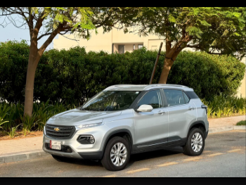 Chevrolet  Groove  2024  Automatic  24,000 Km  4 Cylinder  Front Wheel Drive (FWD)  SUV  Silver  With Warranty