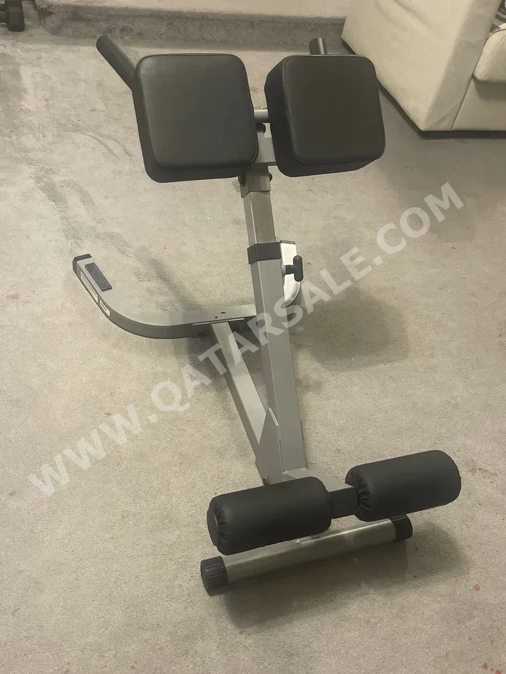 Gym Equipment Machines - Back Extension  - Black