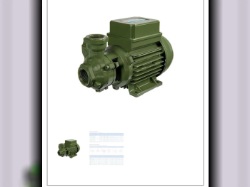 Water Pump  Electric  230 W  Saer .5  Italy