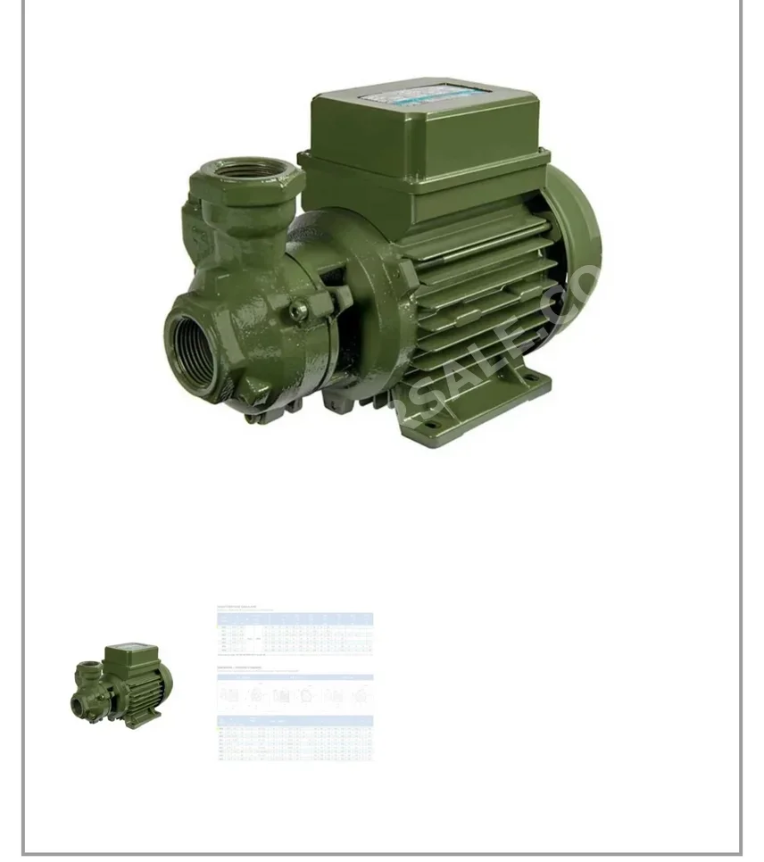 Water Pump  Electric  230 W  Saer .5  Italy