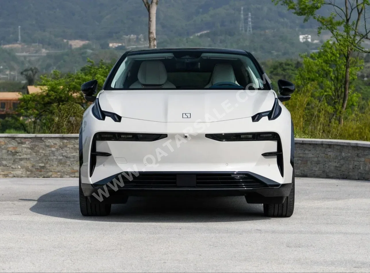 Zeekr  X  SUV ( AWD )  White  2025