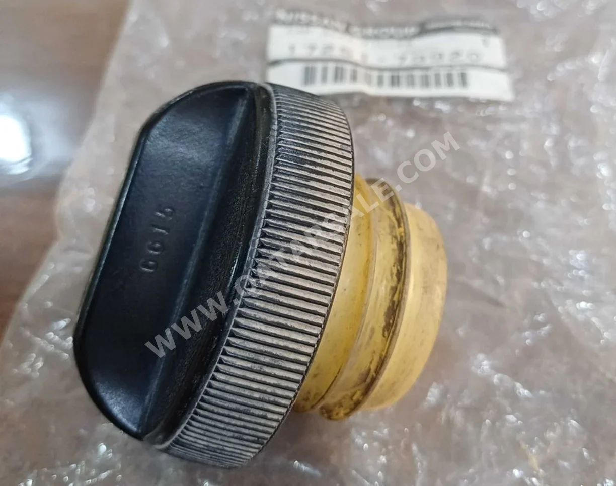 Car Parts - Nissan  Maxima  - Fuel & Emission System  - Japan  -Part Number: 17251-79920