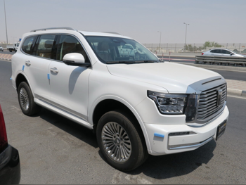 GWM  Tank  500  2025  Automatic  0 Km  6 Cylinder  Four Wheel Drive (4WD)  SUV  White  With Warranty