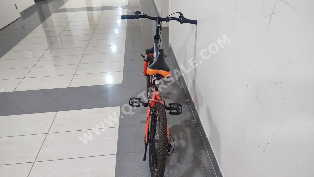 دراجة الطريق  - رالي بايكس  - متوسط (17-18 بوصة)  - اللون الرمادي