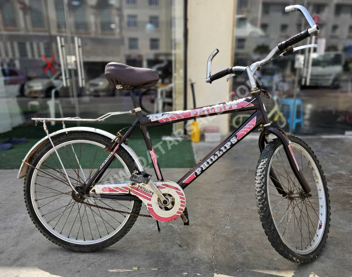 City Bicycle  - Large (19-20 inch)  - Black