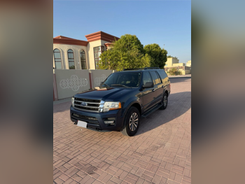 Ford  Expedition  XLT  2016  Automatic  96,000 Km  6 Cylinder  Four Wheel Drive (4WD)  SUV  Blue