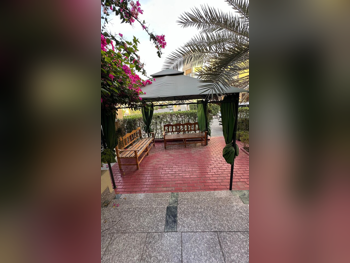 مظلة  أخضر و أسود  خيمة المظلة