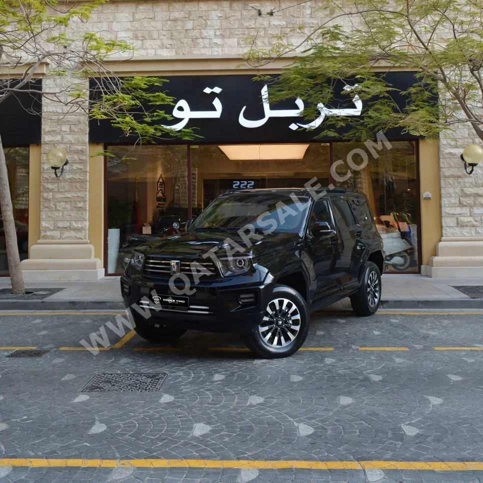جي دبليو ام  تانك  700  2025  اوتوماتيك  0 كم  6 سلندر  دفع رباعي  اس يو في  أسود  تحت الضمان