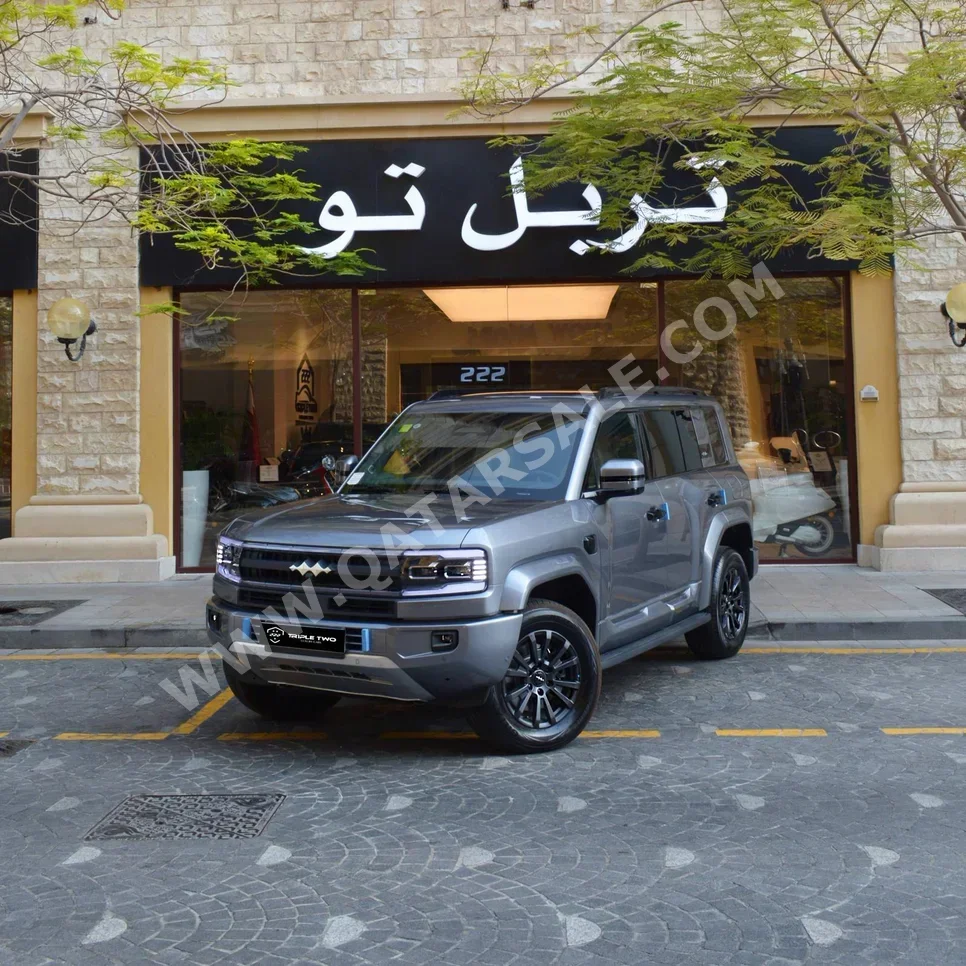 BYD  Leoperd 5  2025  Automatic  0 Km  4 Cylinder  Four Wheel Drive (4WD)  SUV  Silver  With Warranty
