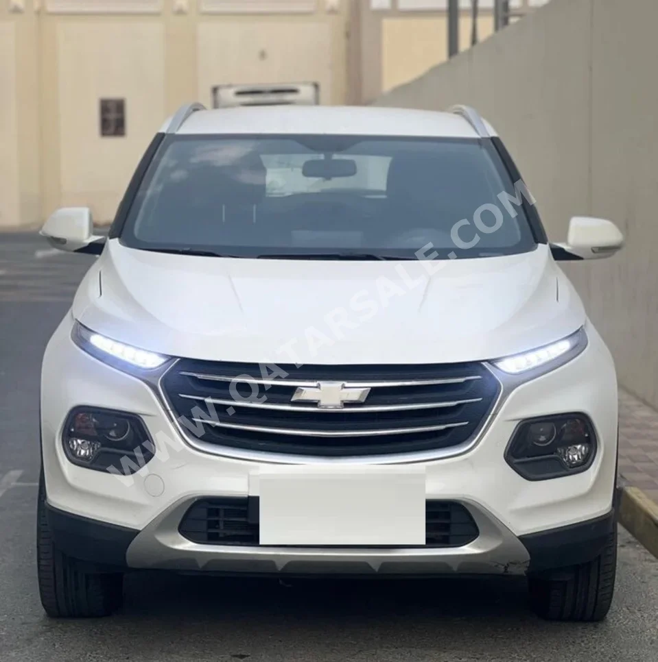Chevrolet  Groove  2023  Automatic  113,000 Km  4 Cylinder  Rear Wheel Drive (RWD)  SUV  White