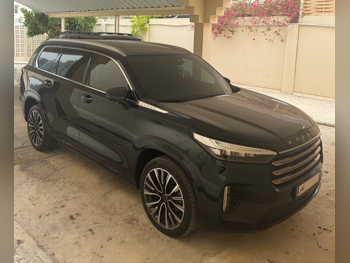 Exeed  VX  400 T  2023  Automatic  28,600 Km  4 Cylinder  All Wheel Drive (AWD)  SUV  Green and Black  With Warranty