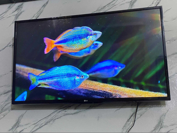 Television (TV) LG  - 43 Inch  - Full HD  - Smart TV