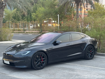 Tesla  Model S  Plaid  2024  Automatic  12,000 Km  0 Cylinder  Four Wheel Drive (4WD)  Sedan  Gray  With Warranty