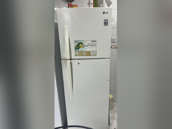 LG  Top Freezer Refrigerator  - White