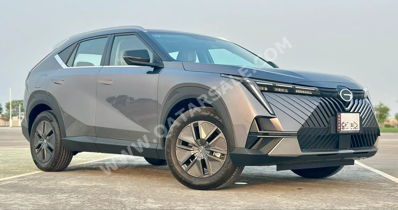 GAC  Emkoo  4 Cylinder  SUV 2x4  Grey  2025