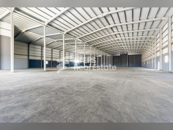 Warehouses & Stores - Al Wakrah  - Barkit Al Awamer  -Area Size: 7000 Square Meter
