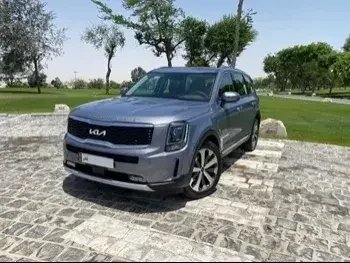 Kia  Telluride  SUV 4x4  Grey  2022