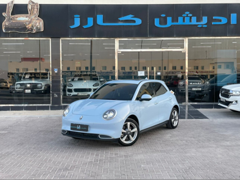 جي دبليو ام  اورا 03  اي في  2025  اوتوماتيك  10,000 كم  4 سلندر  دفع خلفي  هاتشباك  ازرق